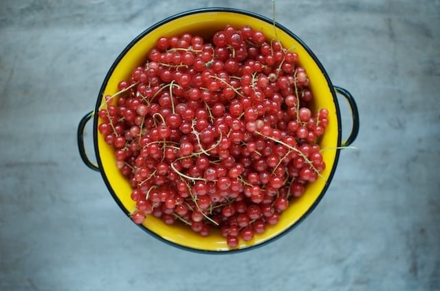 Red currants in a yellow enamel colander.