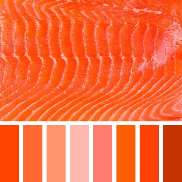 Sockeye Salmon in British Columbia vs. Bristol Bay: Key Differences