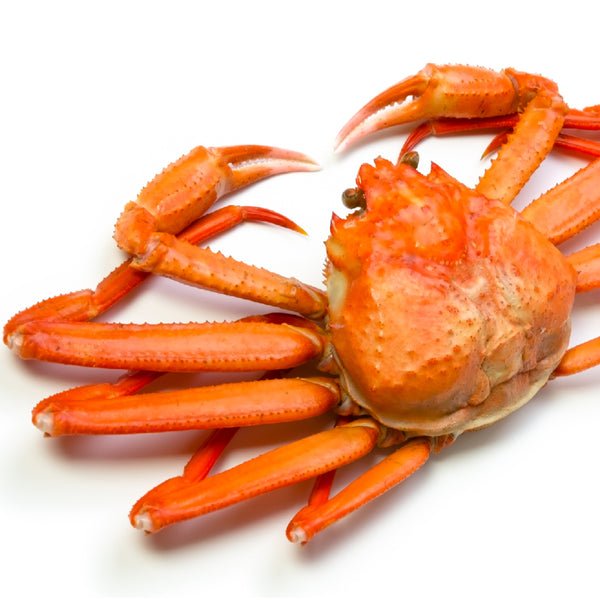 Snow Crab Legs vs. King Crab Legs: Which One Should You Choose?