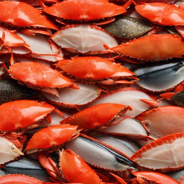 Ethical Sourcing & Eco-Friendly Seafood Choices