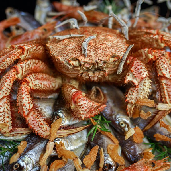 Boiled Crab Date Night Guide – Romantic Tips for the Perfect Seafood Feast
