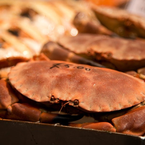 Host a Boiled Crab Feast for Game Night: Tips, Recipes, and Pairings