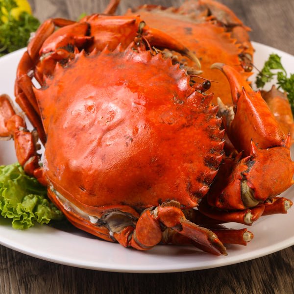The Ultimate Guide to Eating Boiled Crab – Tips & Tricks for a Delicious Feast