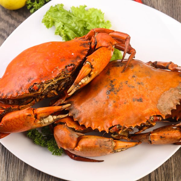 Most Insane Boiled Crab Eating Contests – A Feast for True Champions!