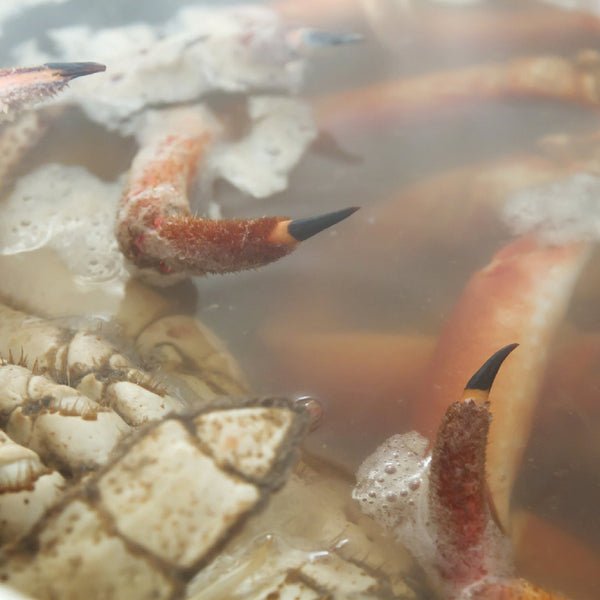 The Boiled Crab Experience: A Delicious Seafood Feast Captured in Photos