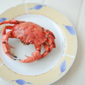 Top Beverages to Pair with Boiled Crab: Enhance Your Seafood Feast