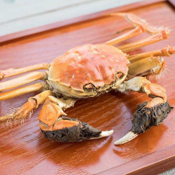 The Best Boiled Crab Pairings: Elevate Your Snow Crab Experience