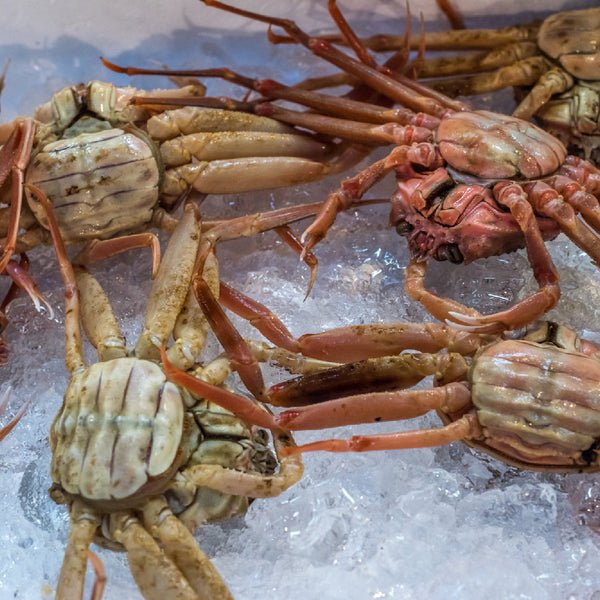Boiled Crab vs. Lobster: Which Seafood Reigns Supreme?