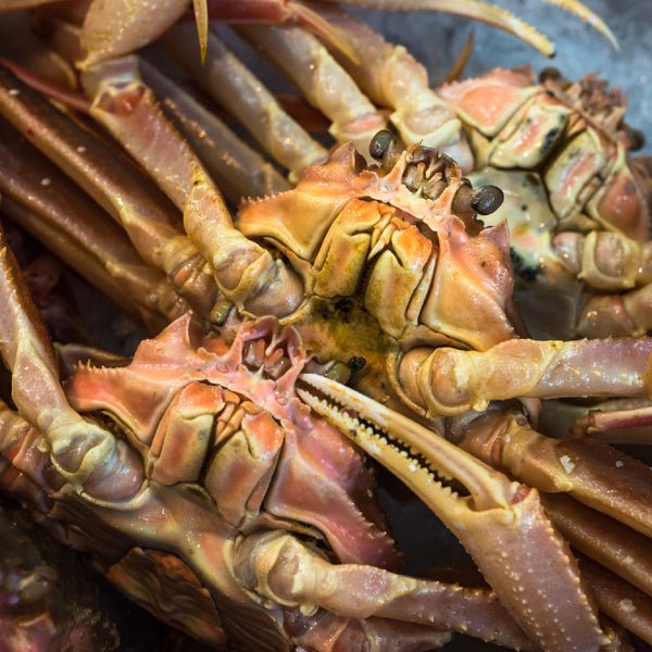 Perfect Wines for Your Seafood Feast