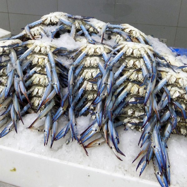 Host the Perfect Seafood Feast with Friends