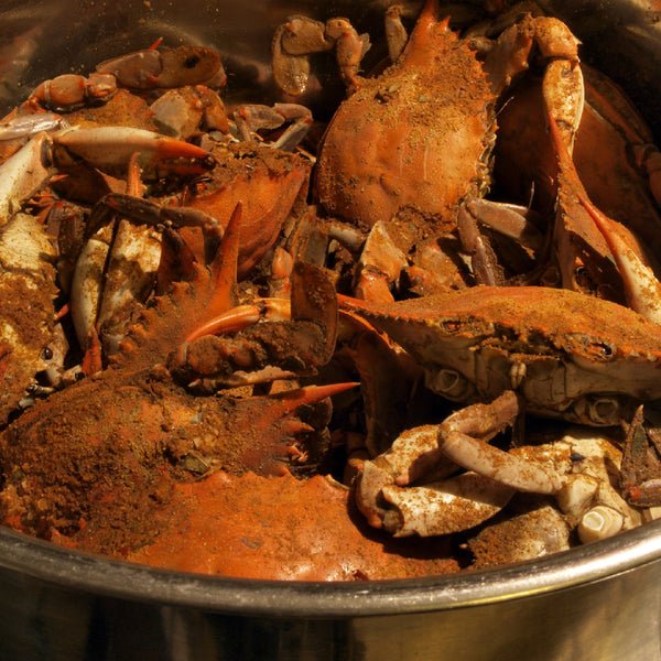 Boiled Crab and Beer: The Perfect Pairing for Seafood Lovers