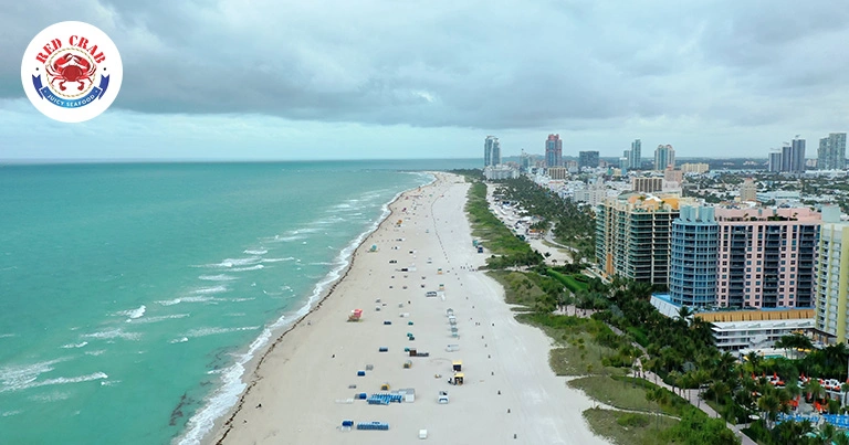 Unique Things to do in West Palm Beach, FL